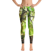 Willow Tree Limited Edition Leggings